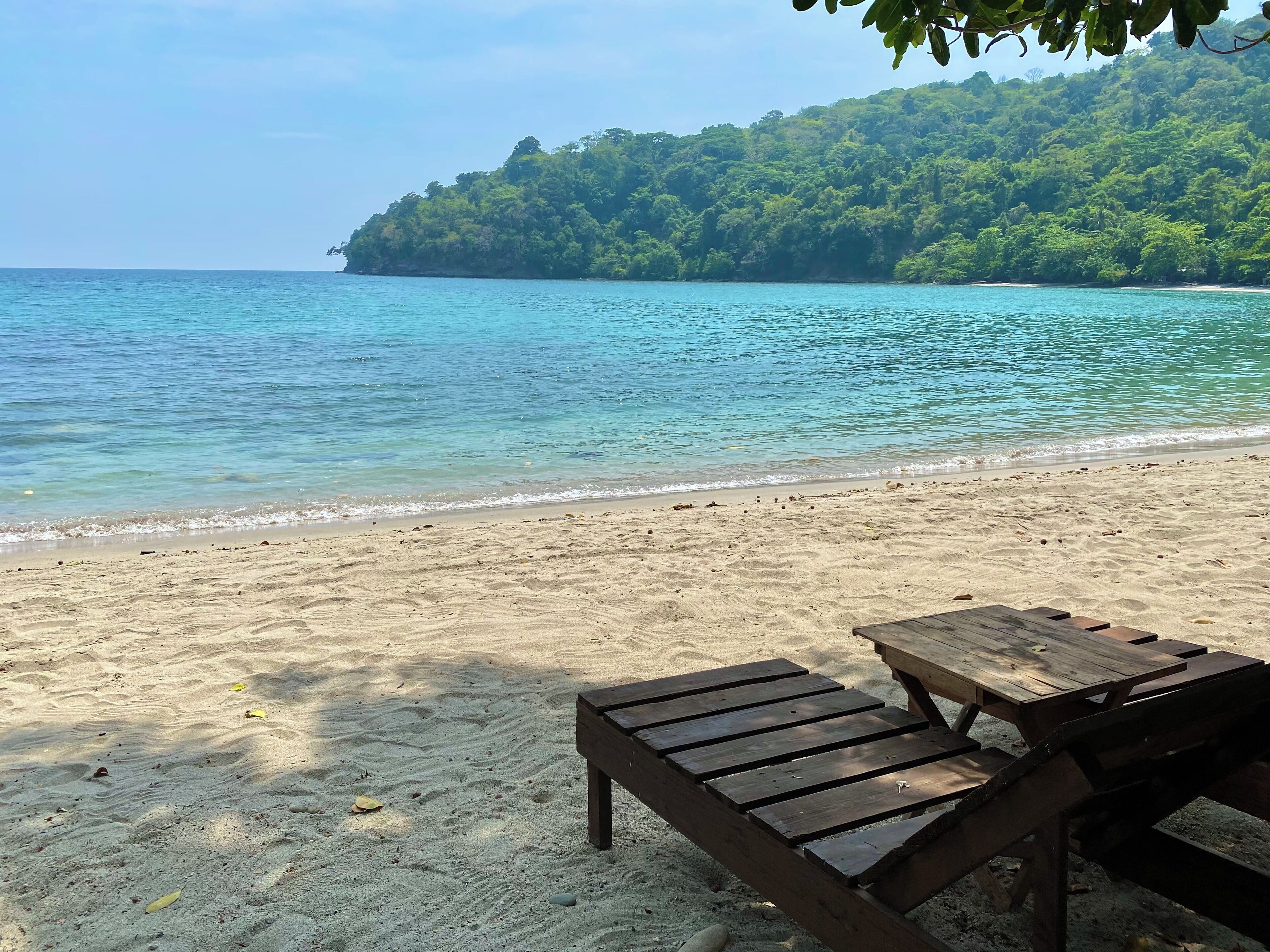 A beach with a wooden bench and table, clear turquoise water, and a forested island in the background.