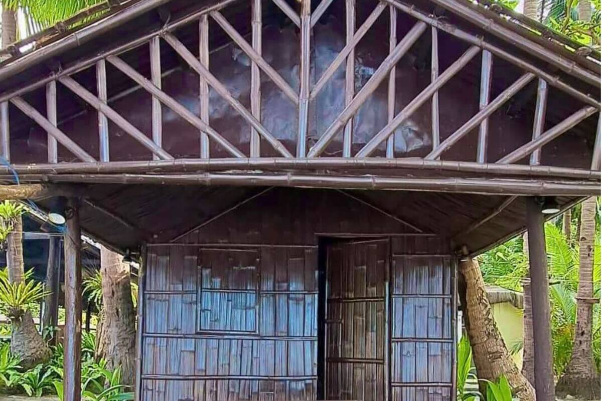 A wooden structure with a triangular roof and two large windows, surrounded by palm trees.
