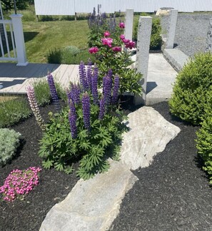 Áreas de la propiedad