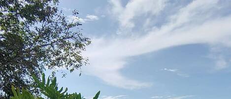 إطلالة على البحر/الشاطئ