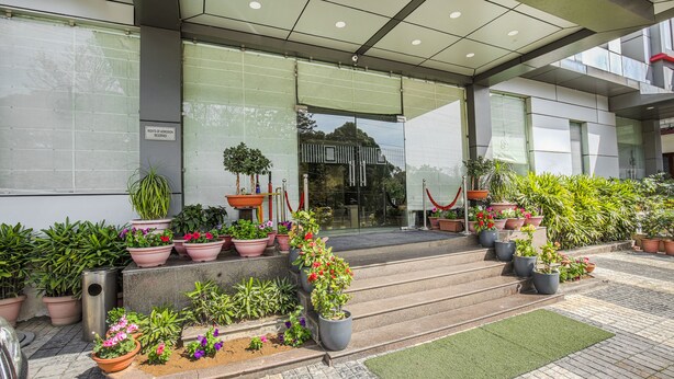 Entrada d'un edifici modern, amb escales que condueixen a una porta de vidre, envoltada de plantes en testos i un estriat verd.
