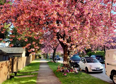 Entire Guest Studio Suite w/King-Bed | Bathtub | Parking