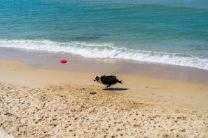 Beach - Bass Retreat - Dog Friendly (Skenes Creek)