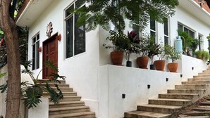 A white building with a wooden door and windows, surrounded by potted plants and a tree.
