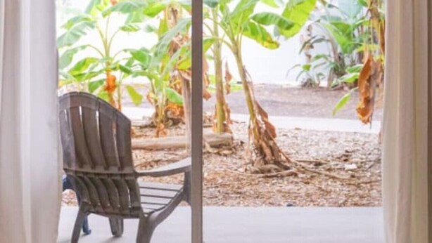 Ein Zimmer mit einer Schiebetür aus Glas, die zu einem Garten mit Bananenpflanzen führt.