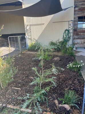 Terrein van de accommodatie