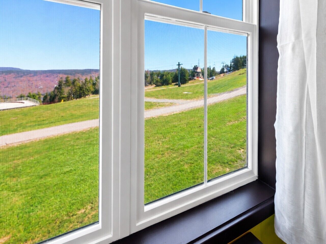 A window with a view of a green field and a road.