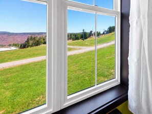 A window with a view of a green field and a road.