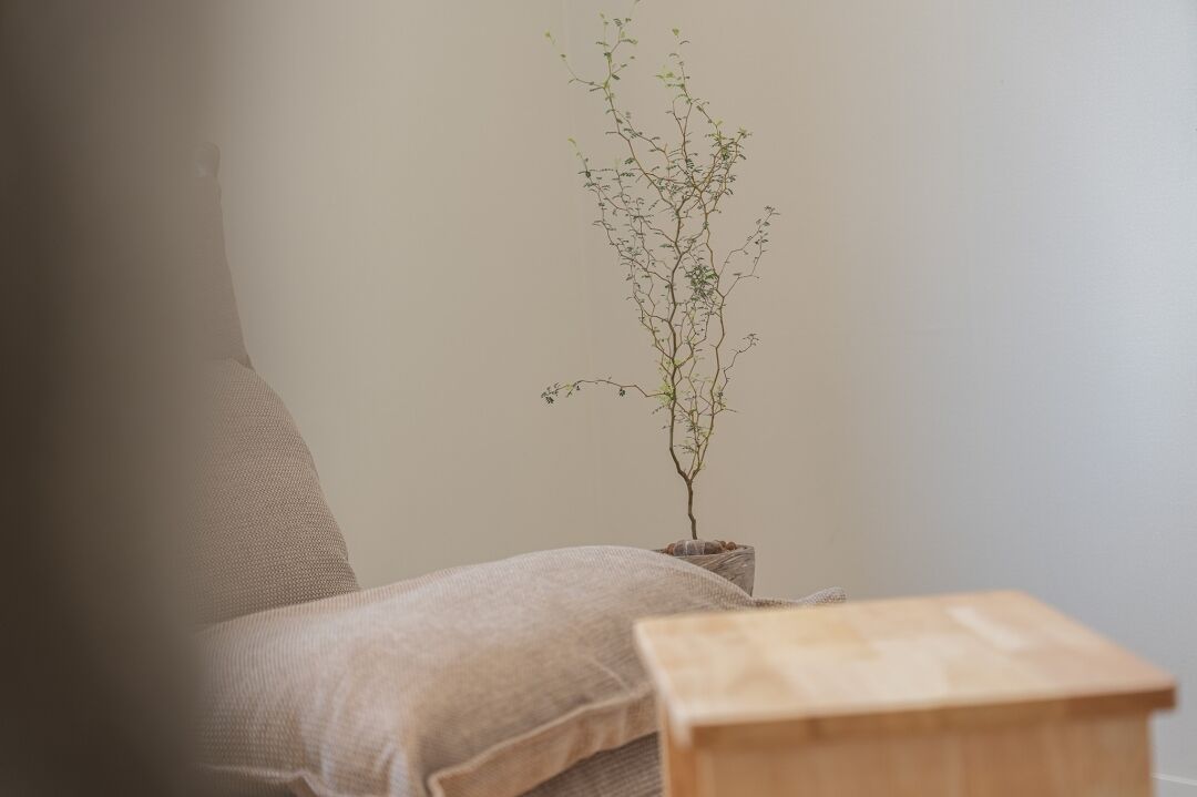 Una habitación con una cama, una pequeña mesa de madera y una planta en maceta.