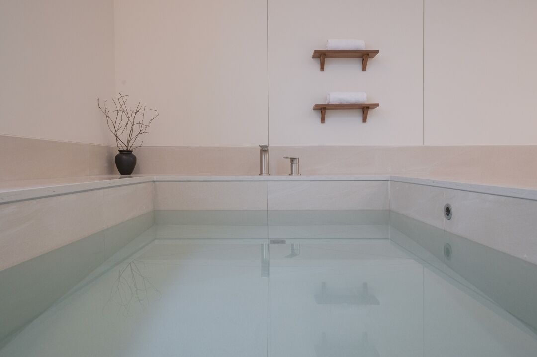 A clear, empty swimming pool with a single potted plant on the left.