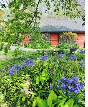 Exterior detail - A place to live and relax with a swimming pool between land and sea (Dol-de-Bretagne)