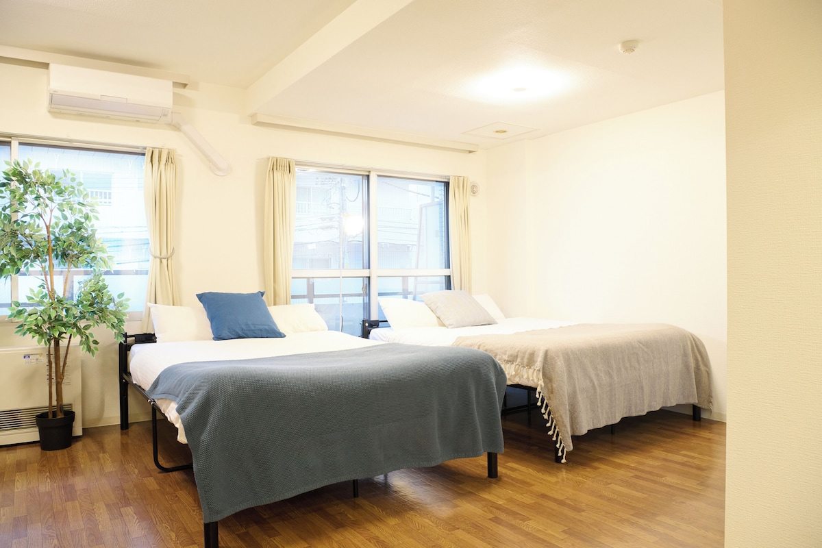 A room with two beds, a potted plant, and a window.