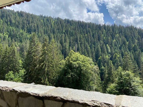 A stone ledge overlooking a dense forest with a clear sky.
