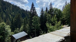 Una escalera de piedra conduce a una cabaña de madera en un área boscosa, con cielo despejado.
