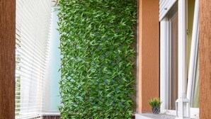 A small balcony with a green plant wall, a metal table with a bowl, and a window with blinds. - Casa Limone by Wonderful Italy (Bologna)