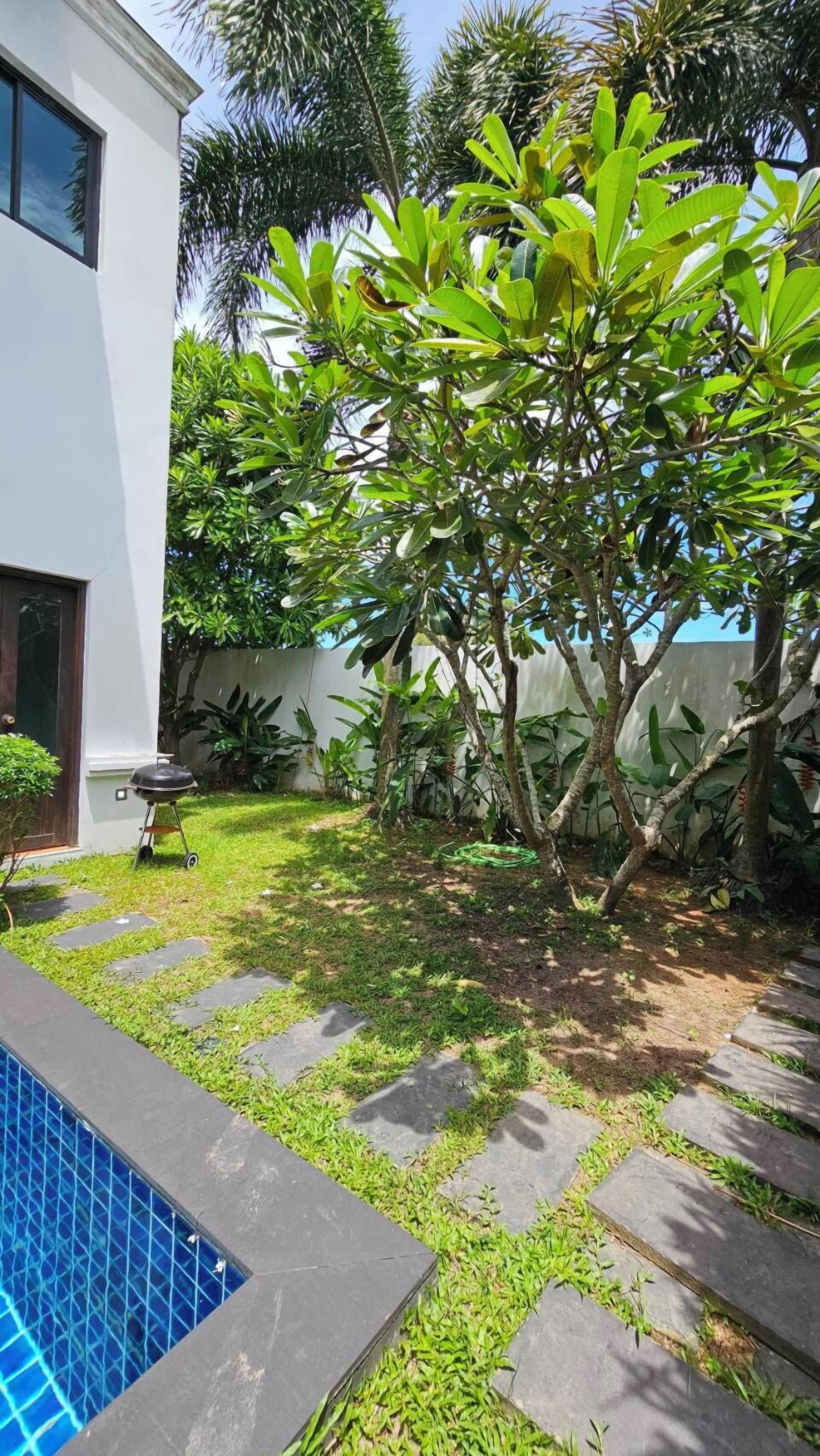 A residential backyard with a swimming pool, a barbecue grill, and various plants.
