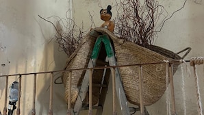 A doll on a makeshift ladder in a room with a concrete floor and walls. - Roquefort des Corbières house (Roquefort-des-Corbières)