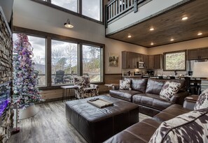 TV, fireplace, video games