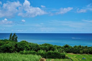 A coastal landscape with lush greenery and the ocean. - Grand blue 303 (Onna)