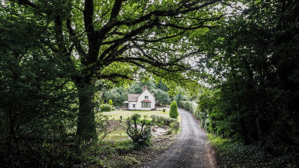 Une route de campagne mène à une maison blanche entourée d’une végétation luxuriante.