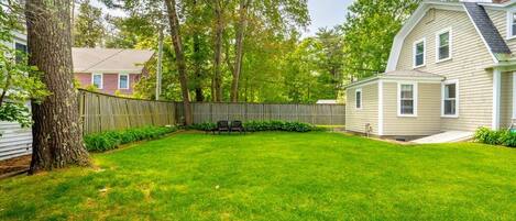 A backyard with a wooden fence, a tree, and a house.