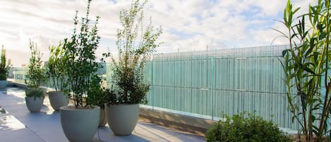 A rooftop terrace with potted plants and a glass fence.