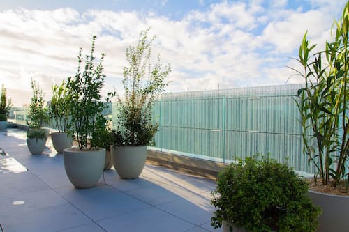 Junior Suite, Terrace | Terrace/patio