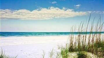 On the beach