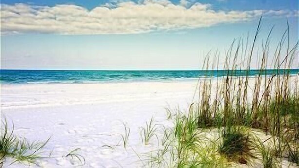 Une plage de sable blanc bordée d’une eau d’un bleu limpide.