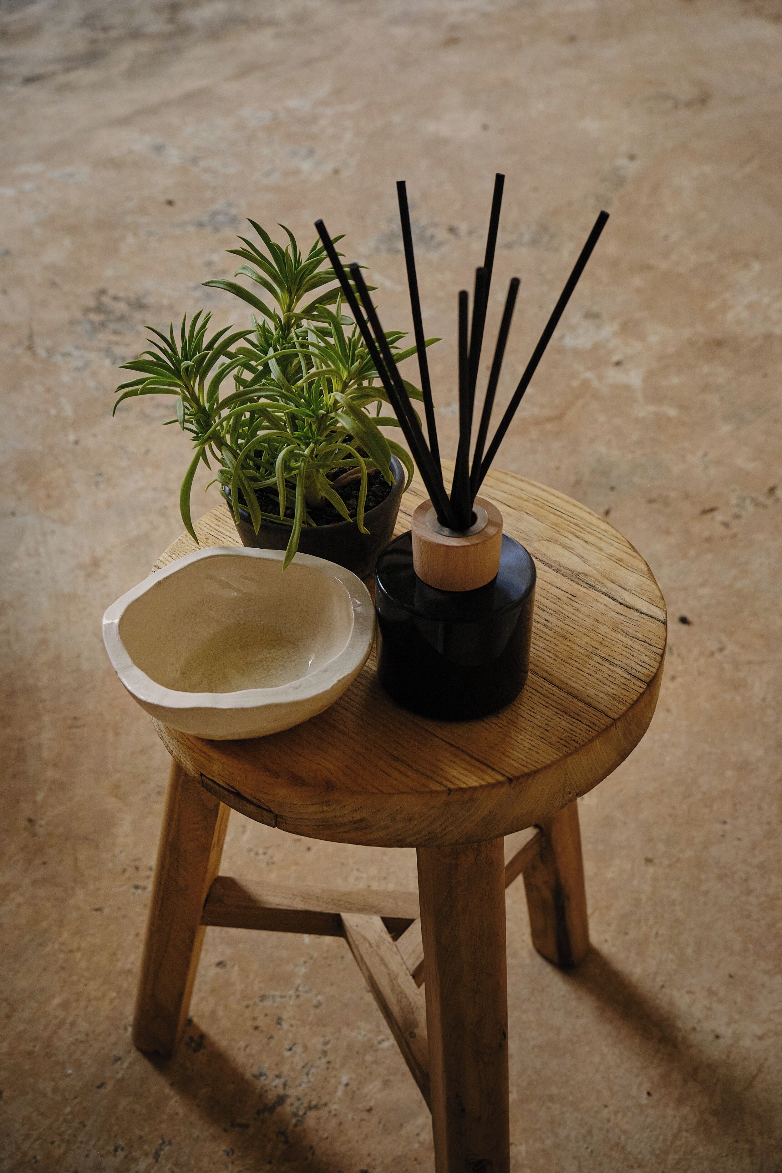 A round wooden table with a bowl and a potted plant.