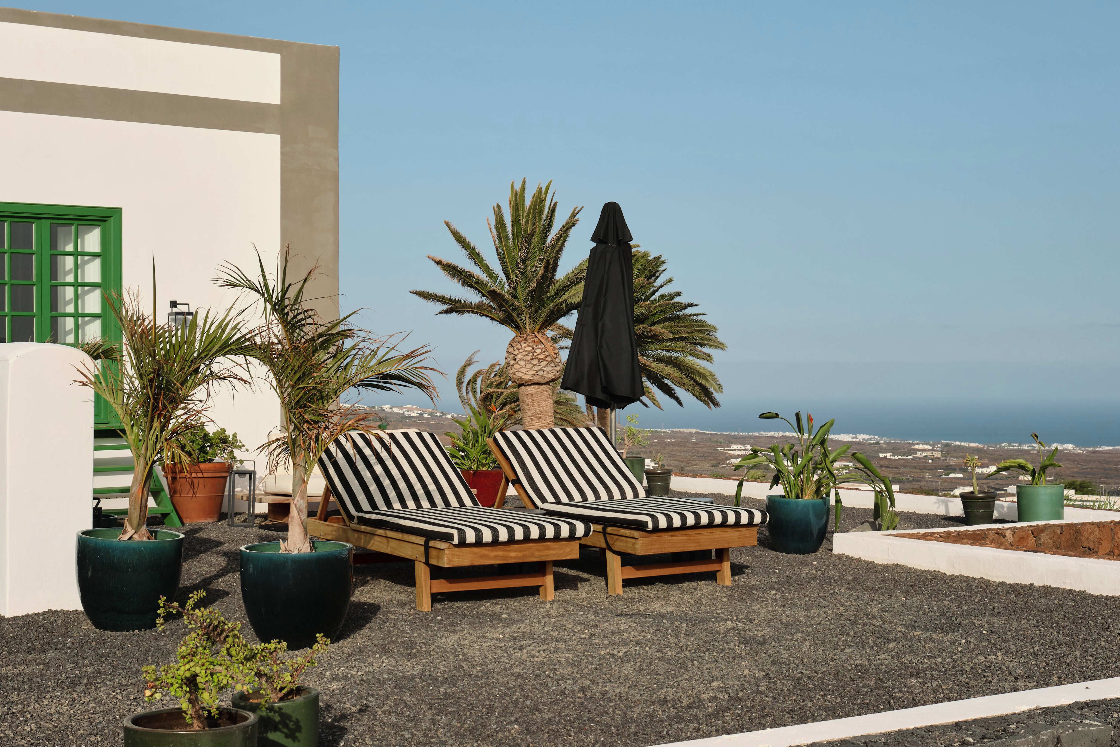 Une terrasse sur le toit avec deux chaises longues, un palmier et des plantes en pot.