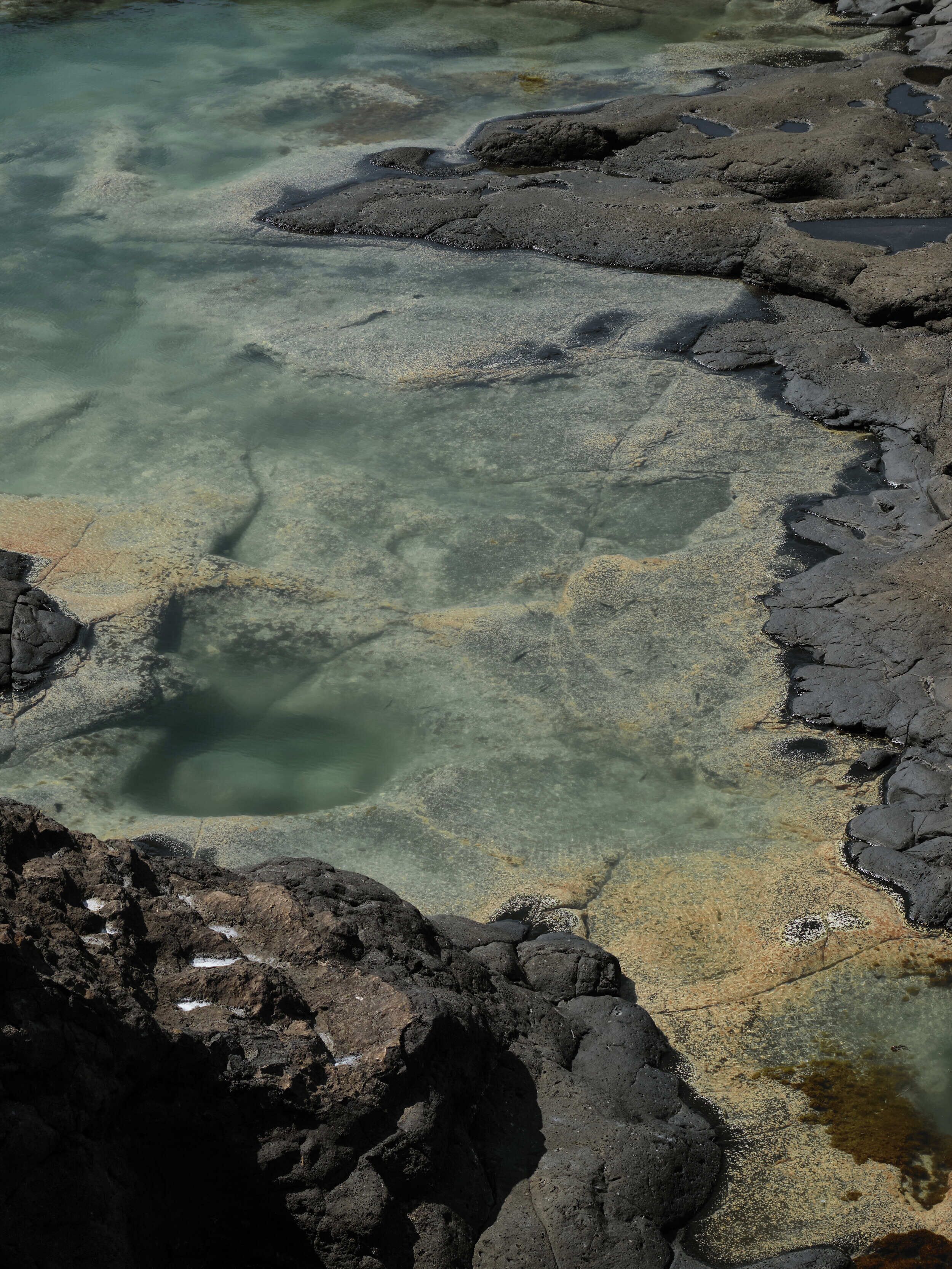A rocky shoreline with clear water and visible marine life.