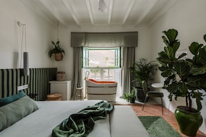 Double Room, Mountain View
