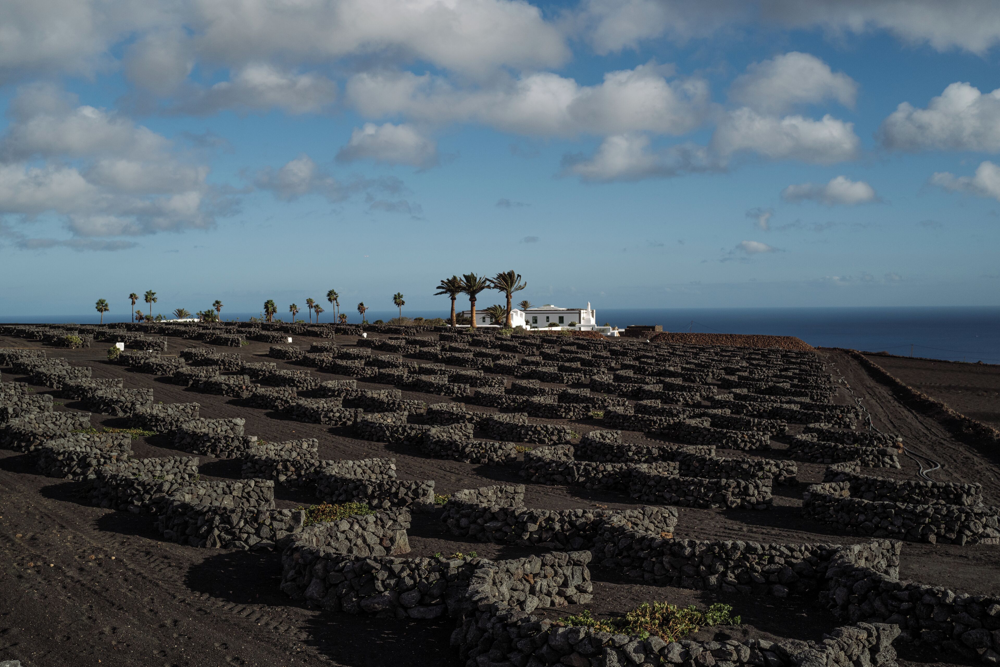 A coastal archaeological site with stone structures and a white building with a white roof.