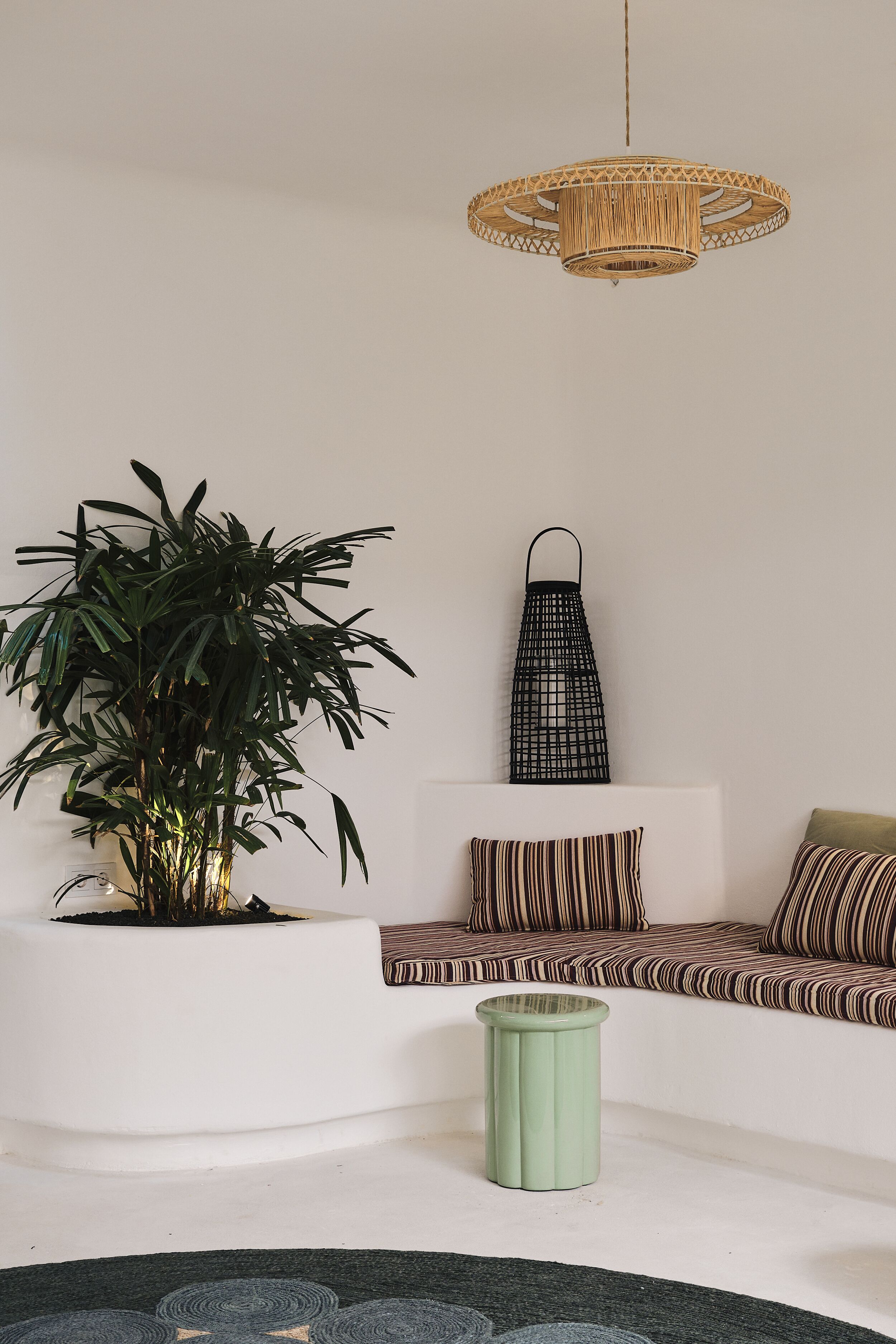 A modern living room with a large potted plant, a green trash bin, a patterned sofa, and a hanging light fixture.