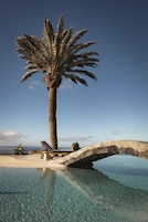 A palm tree, a stone bridge, and a clear pool of water.