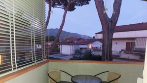 Ein Balkon mit zwei Korbstühlen und einem kleinen Tisch, mit Blick auf ein Wohngebiet mit Häusern und einem Berg im Hintergrund.