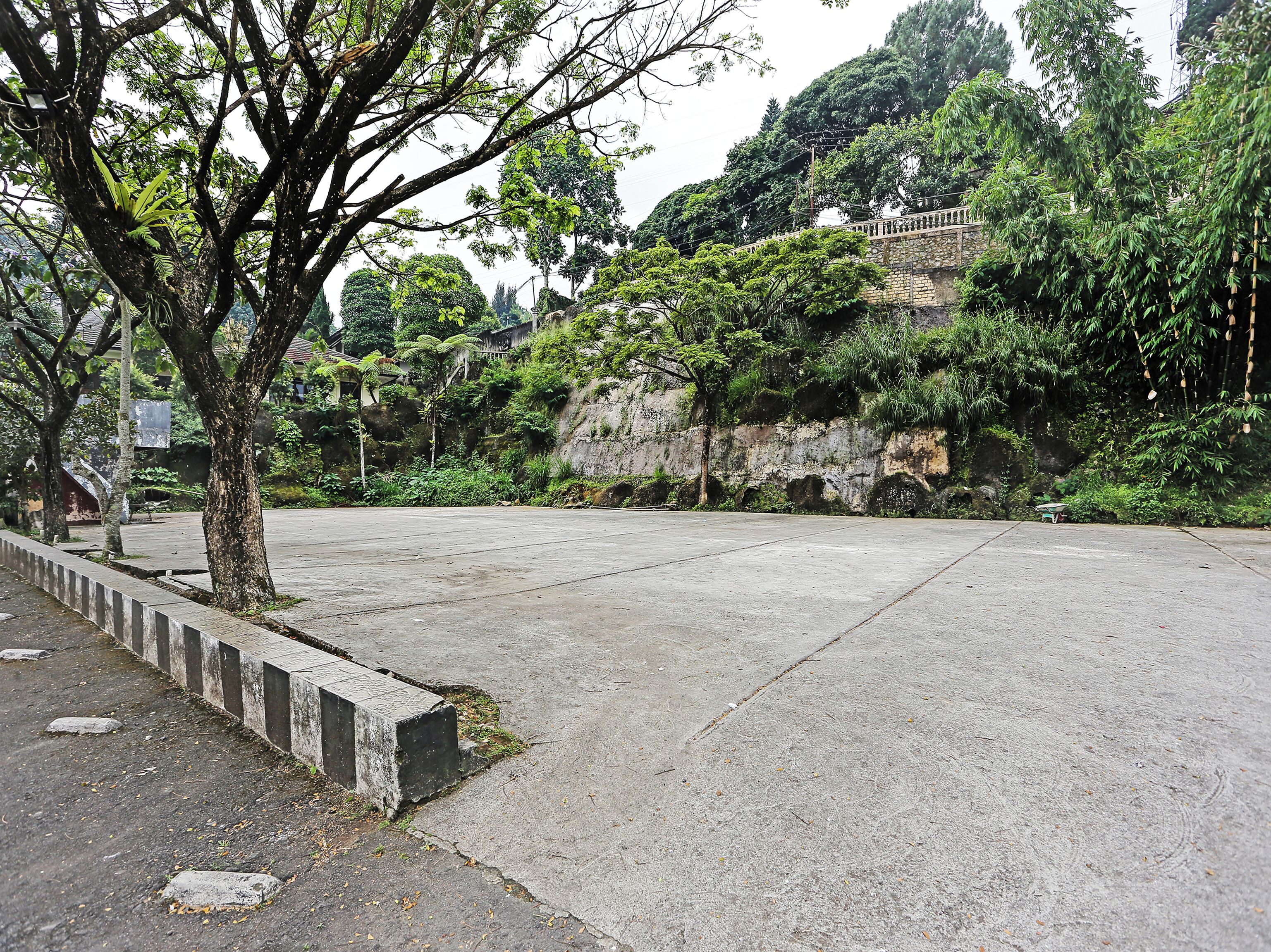 A concrete plaza with trees and a stone wall in the background.