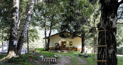 THE HOUSE OF THE FOREST