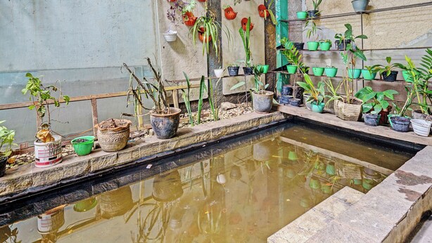 Un petit jardin d’intérieur comprenant diverses plantes en pot et un élément décoratif avec de l’eau.