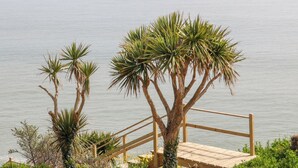 A wooden deck with a railing overlooking a calm body of water. - Beach House (Courtown)