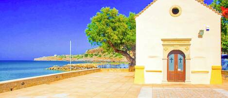 テラス / パティオ