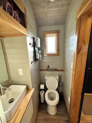 Hair dryer, towels, soap, toilet paper