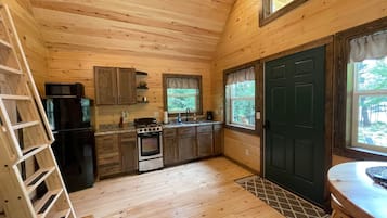 Frigorífico, microondas, horno y placa de cocina