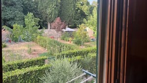 Blick aus einem Fenster auf einen Garten mit hohen Bäumen und einem Heckenstreifen.