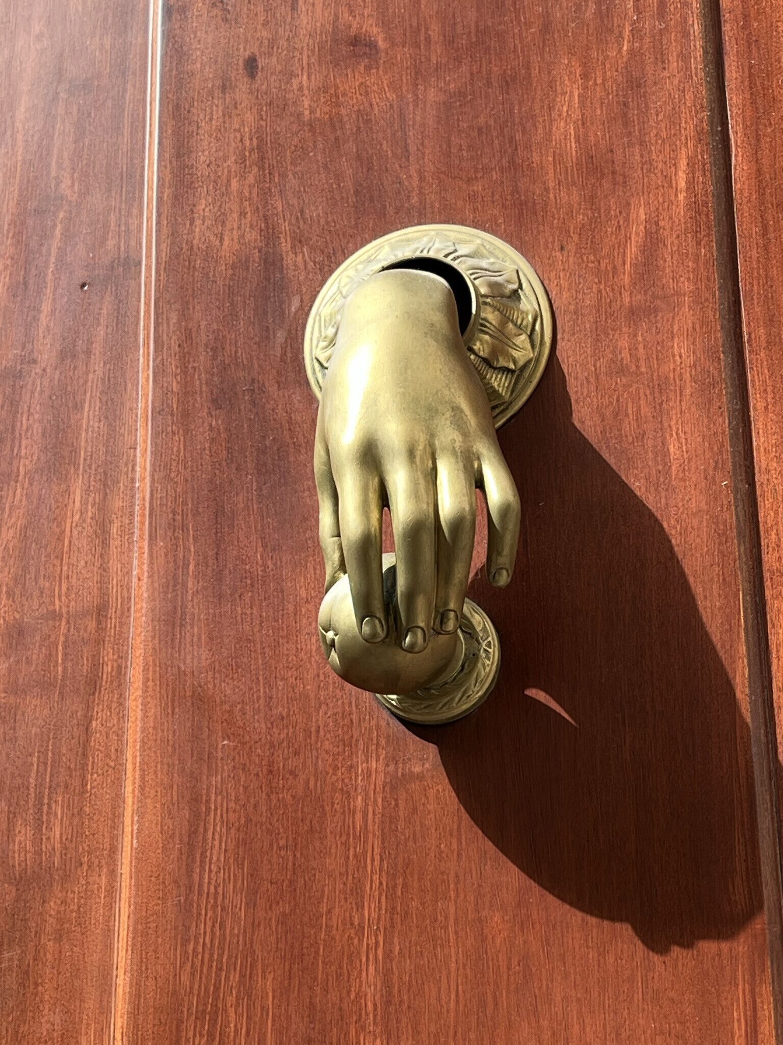 A brass door handle on a wooden door.