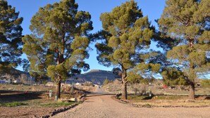A rural road flanked by tall pine trees, leading towards a distant mountain range. - River Rock Studio w/private courtyard, 20 minutes to Zion (Virgin)