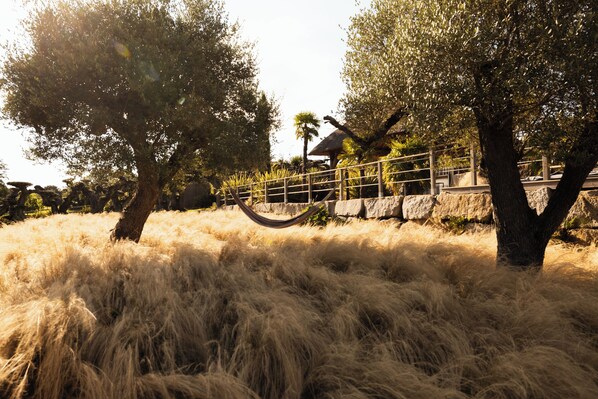 المنطقة المحيطة بالمنشأة