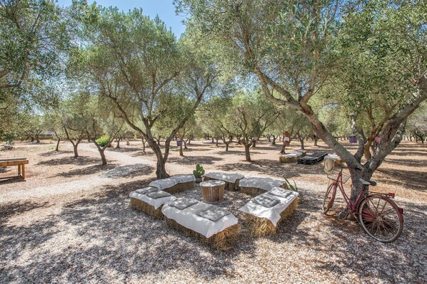 Jardines del alojamiento