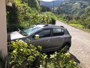 Une voiture garée dans un espace verdoyant et luxuriant, avec un chemin pavé et une clôture.